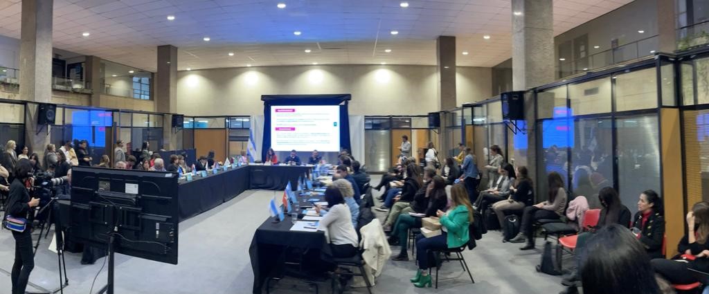 La Unidad de Auditoría Interna del Ministerio de Ambiente y Desarrollo Social de la Nación presento 
                                        al Consejo Federal de Medio Ambiente - COFEMA- el resultado de las auditorías llevadas a cabo por la Red Federal de Control Público.