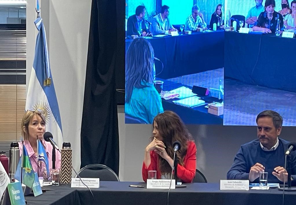  La Unidad de Auditoría Interna del Ministerio de Ambiente y Desarrollo Social de la Nación presento 
                                        al Consejo Federal de Medio Ambiente - COFEMA- el resultado de las auditorías llevadas a cabo por la Red Federal de Control Público.