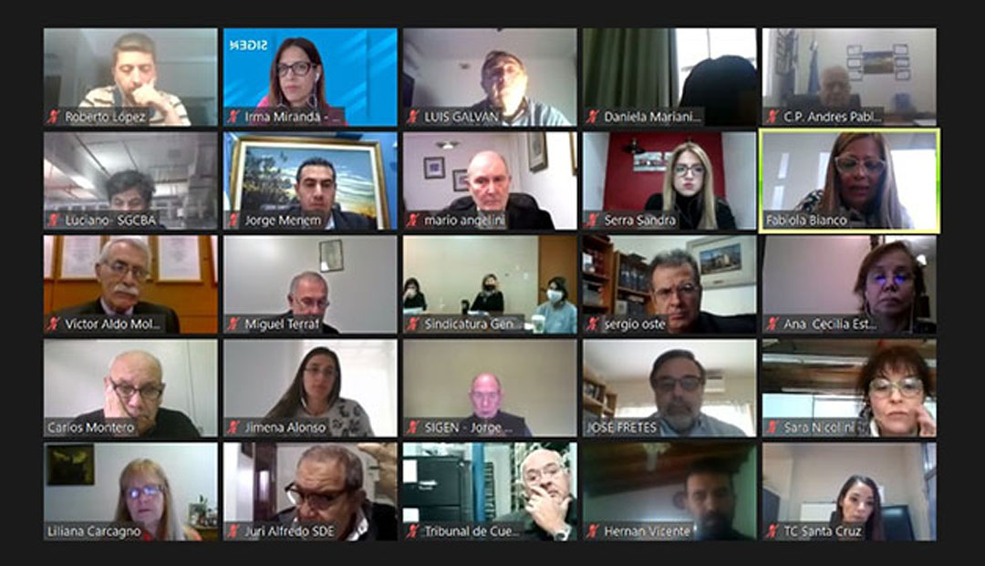Reunión virtual del Comité de Control