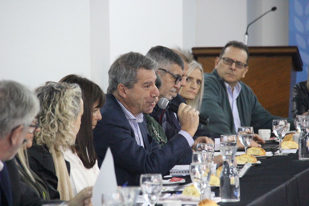Auditores Internos