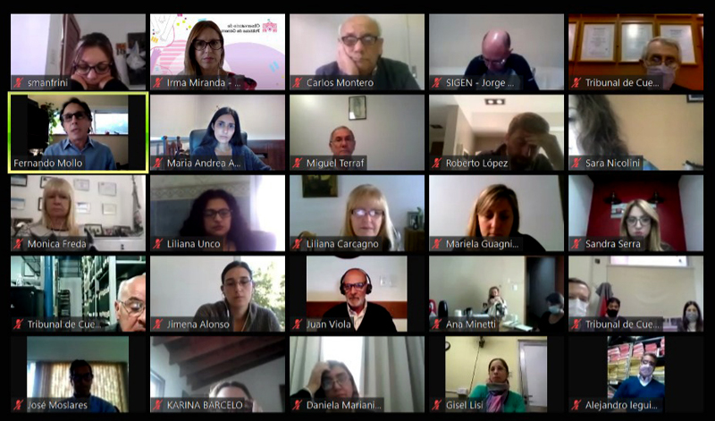 Reunión virtual del Comité de Control